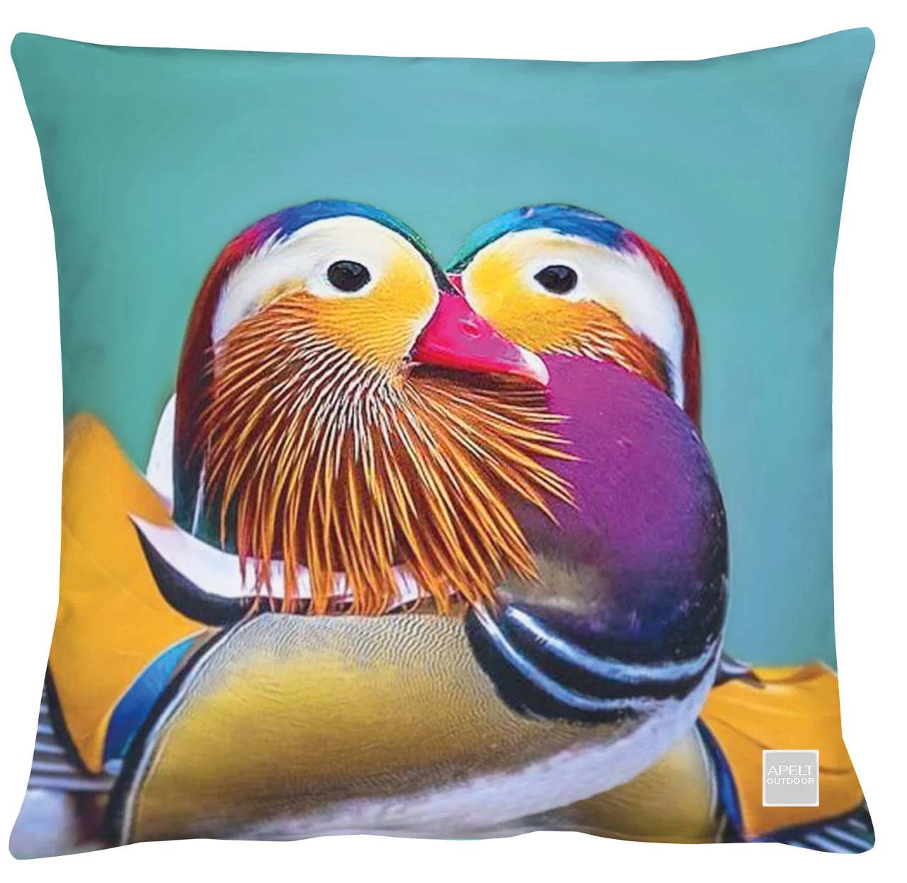 Coppia Anatre Mandarine