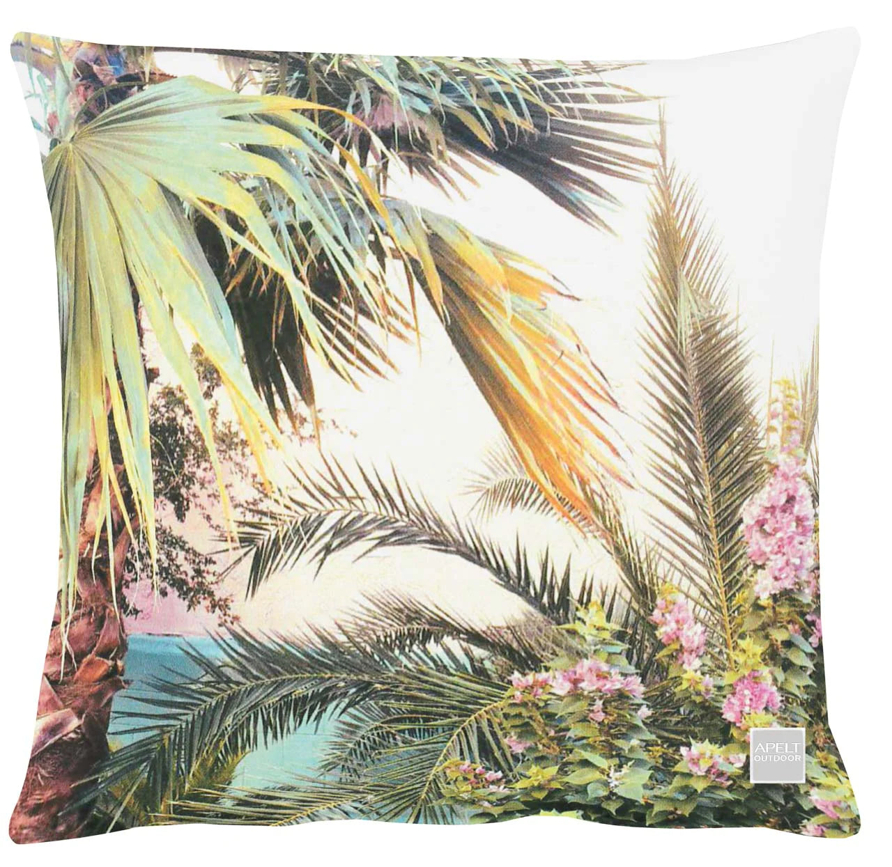 Miami Palme
